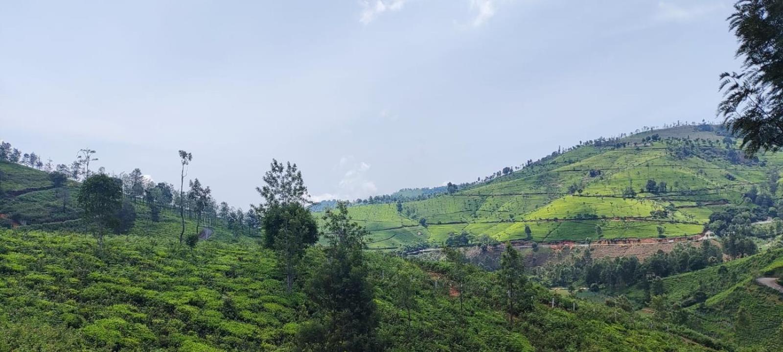 Sandy 4 Bhk Homestay - Only Adults Allowed Ooty Extérieur photo